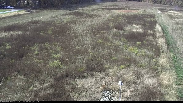 Cell 1_23-10-28_12-58-38-79