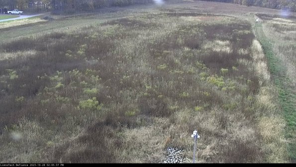 Cell 1_23-10-28_14-05-37-80