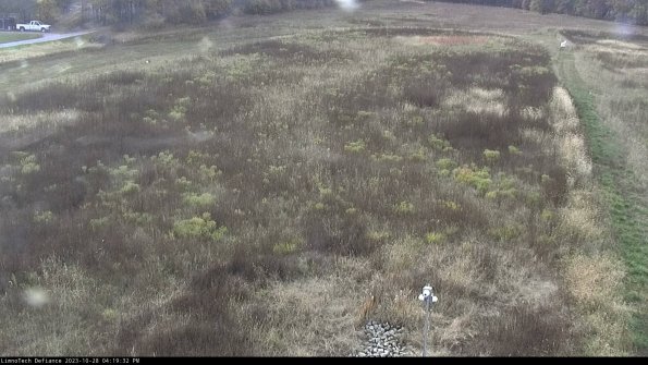 Cell 1_23-10-28_16-19-32-81