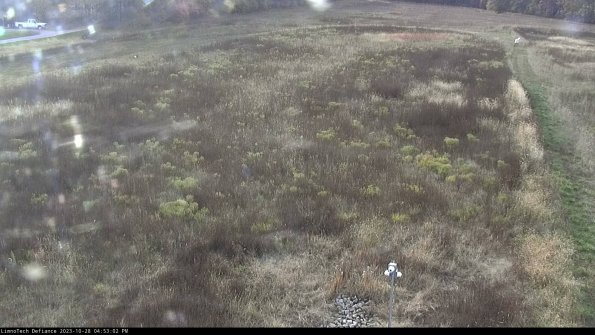 Cell 1_23-10-28_16-53-02-79