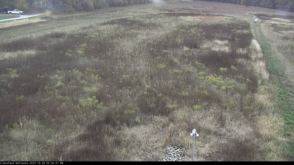 Cell 1_23-10-28_17-26-31-78