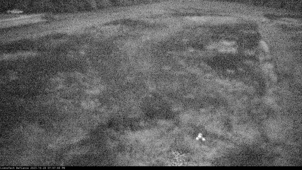 Cell 1_23-10-28_19-07-00-80