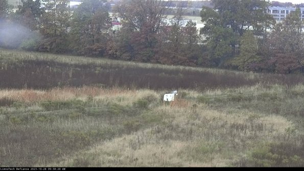 Cell 2 to 3_23-10-28_09-38-20-98