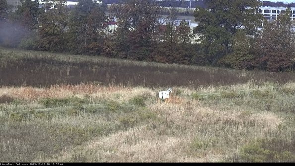 Cell 2 to 3_23-10-28_10-11-50-87