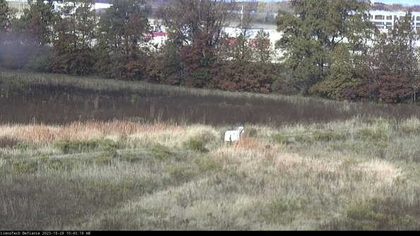 Cell 2 to 3_23-10-28_10-45-19-89