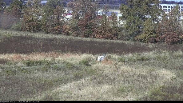 Cell 2 to 3_23-10-28_11-18-49-94