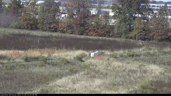 Cell 2 to 3_23-10-28_12-25-48-98