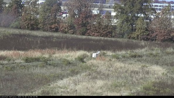 Cell 2 to 3_23-10-28_12-59-18-83