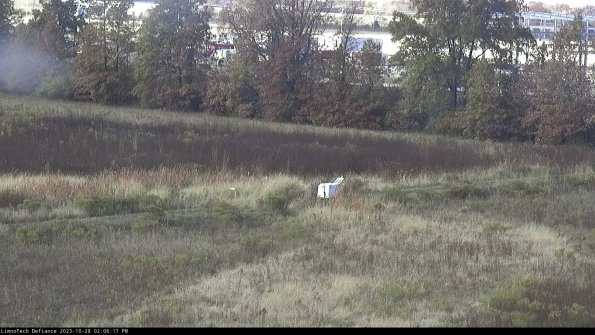 Cell 2 to 3_23-10-28_14-06-17-87