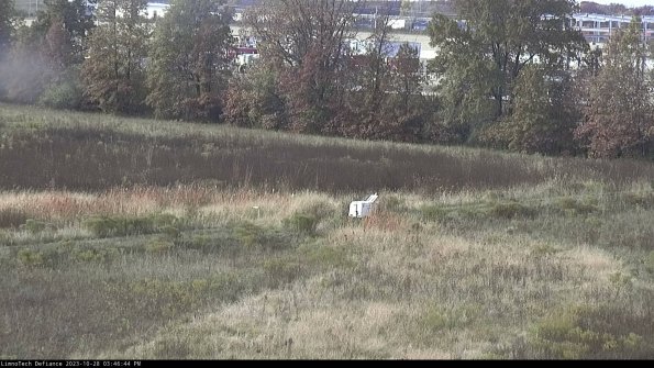 Cell 2 to 3_23-10-28_15-46-44-89