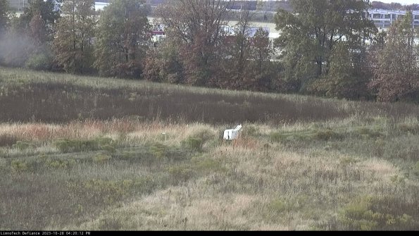 Cell 2 to 3_23-10-28_16-20-12-91