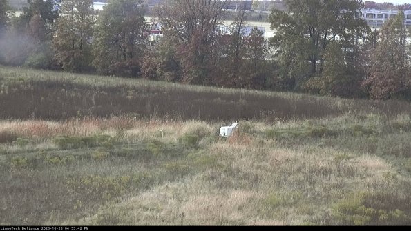 Cell 2 to 3_23-10-28_16-53-42-83