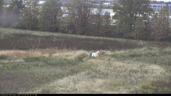 Cell 2 to 3_23-10-28_17-27-11-98