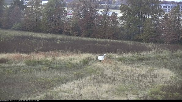 Cell 2 to 3_23-10-28_18-00-40-97