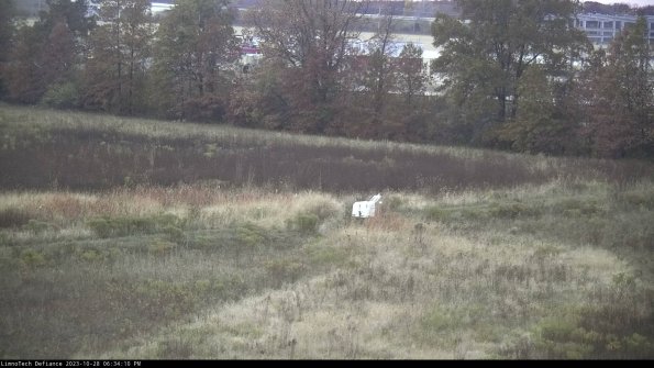 Cell 2 to 3_23-10-28_18-34-10-82