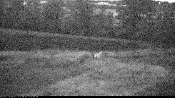 Cell 2 to 3_23-10-28_19-07-41-77