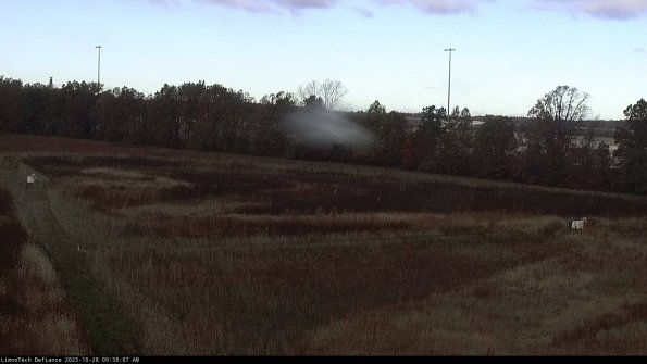 Cell 2_23-10-28_09-38-07-84