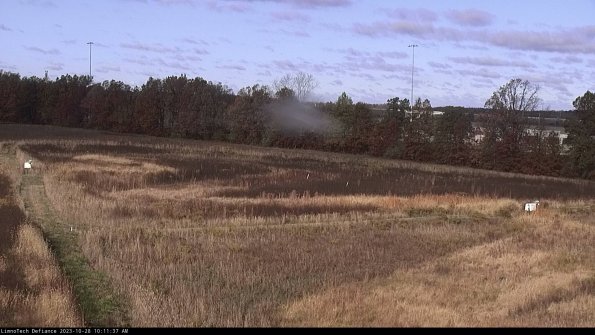 Cell 2_23-10-28_10-11-37-79