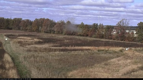 Cell 2_23-10-28_11-18-36-79