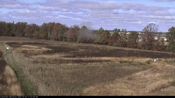 Cell 2_23-10-28_11-52-06-81