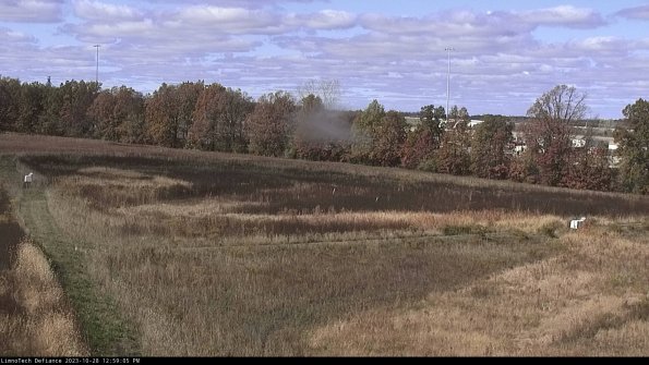 Cell 2_23-10-28_12-59-05-82