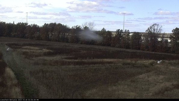 Cell 2_23-10-28_14-06-04-79