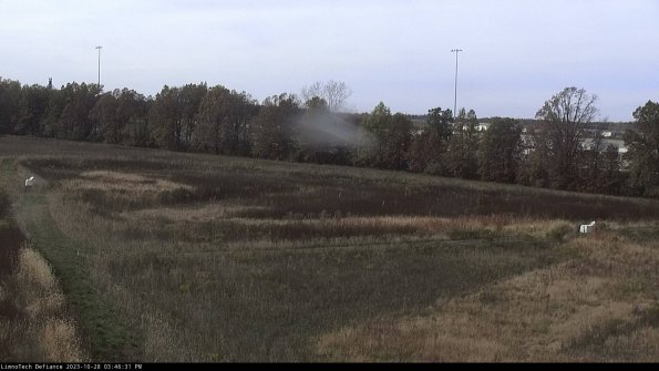 Cell 2_23-10-28_15-46-31-81