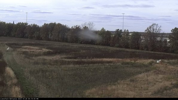 Cell 2_23-10-28_16-19-59-83