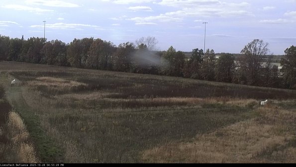 Cell 2_23-10-28_16-53-29-82