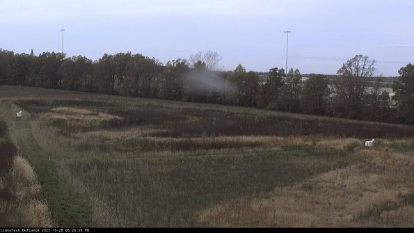 Cell 2_23-10-28_17-26-58-87