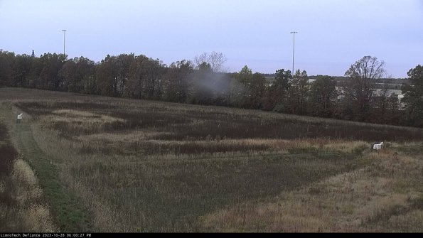 Cell 2_23-10-28_18-00-27-86