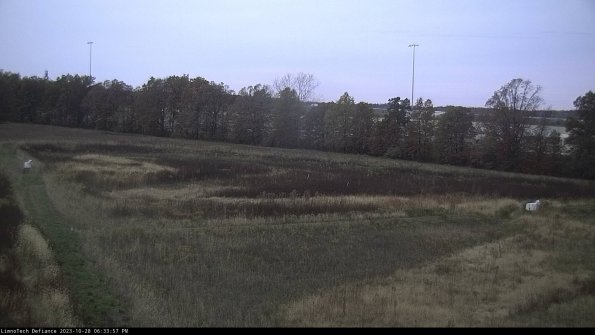 Cell 2_23-10-28_18-33-57-81