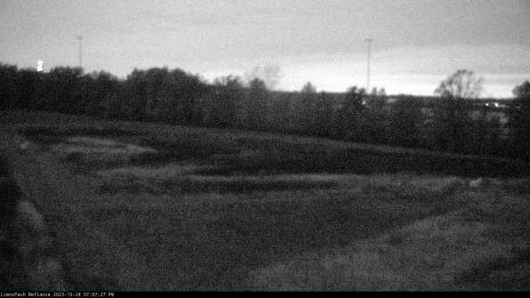 Cell 2_23-10-28_19-07-27-96