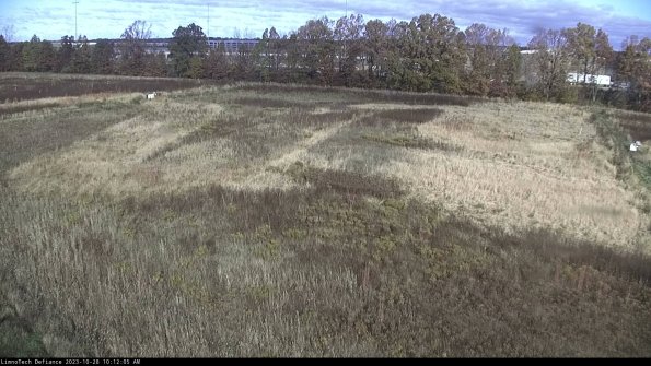 Cell 3_23-10-28_10-12-05-78