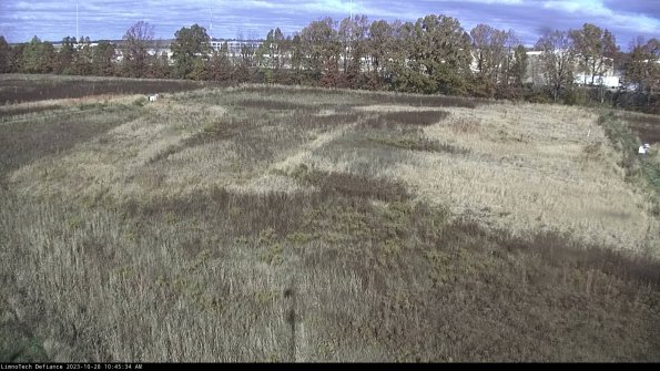 Cell 3_23-10-28_10-45-34-77