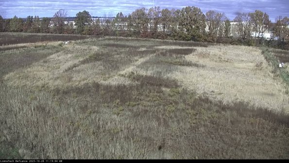 Cell 3_23-10-28_11-19-04-79