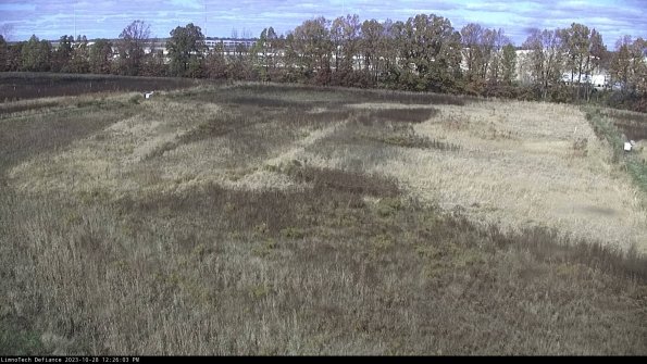 Cell 3_23-10-28_12-26-03-79