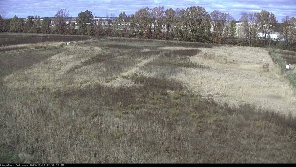 Cell 3_23-10-28_12-59-33-01