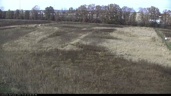 Cell 3_23-10-28_15-46-59-04