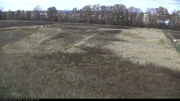 Cell 3_23-10-28_16-20-27-79