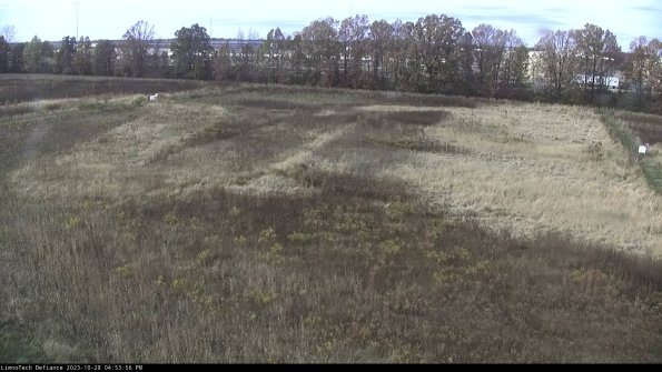 Cell 3_23-10-28_16-53-57-01