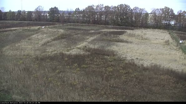 Cell 3_23-10-28_17-27-26-80