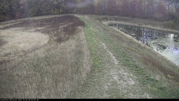 Cell 4 to Basin_23-10-28_09-06-04-81