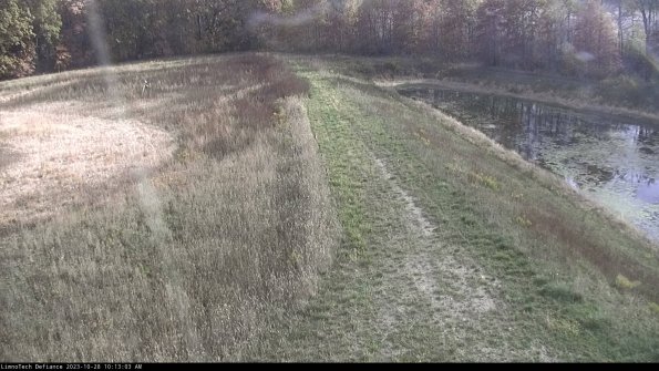 Cell 4 to Basin_23-10-28_10-13-03-81