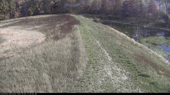 Cell 4 to Basin_23-10-28_11-20-02-81