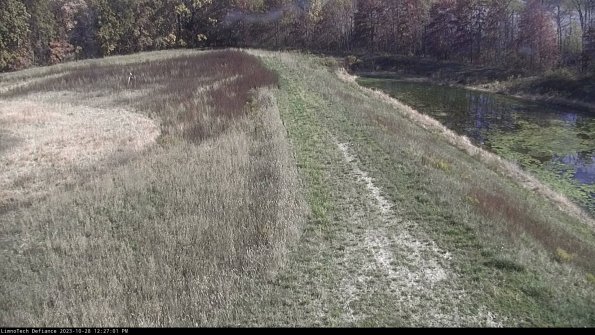 Cell 4 to Basin_23-10-28_12-27-01-78