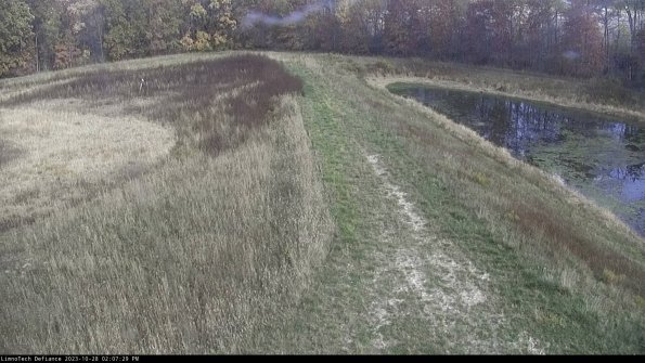 Cell 4 to Basin_23-10-28_14-07-29-81