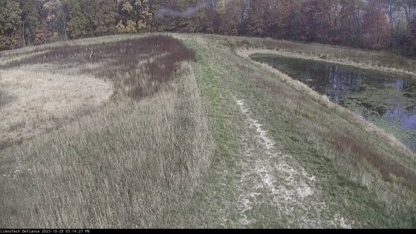 Cell 4 to Basin_23-10-28_15-14-27-81