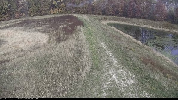 Cell 4 to Basin_23-10-28_15-47-56-80