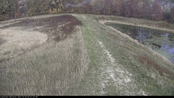 Cell 4 to Basin_23-10-28_16-21-25-79